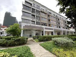 Lorong N Telok Kurau (D15), Shop House #456725151